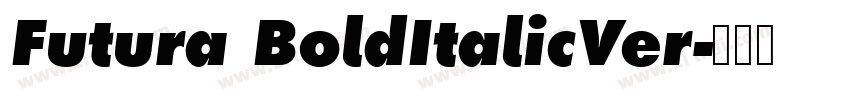 Futura BoldItalicVer字体转换